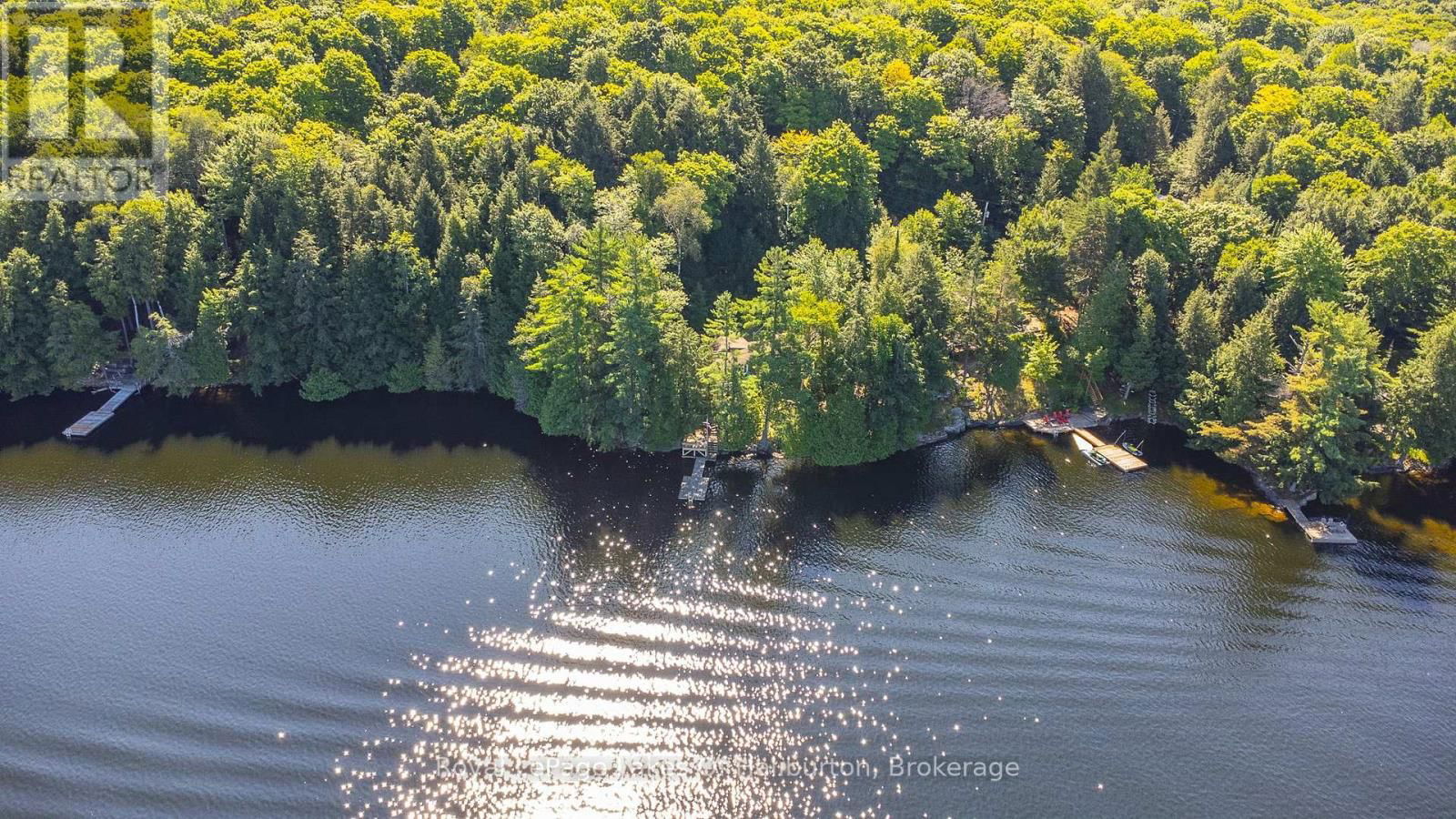 1358 KUSHOG LAKE ROAD Image 8