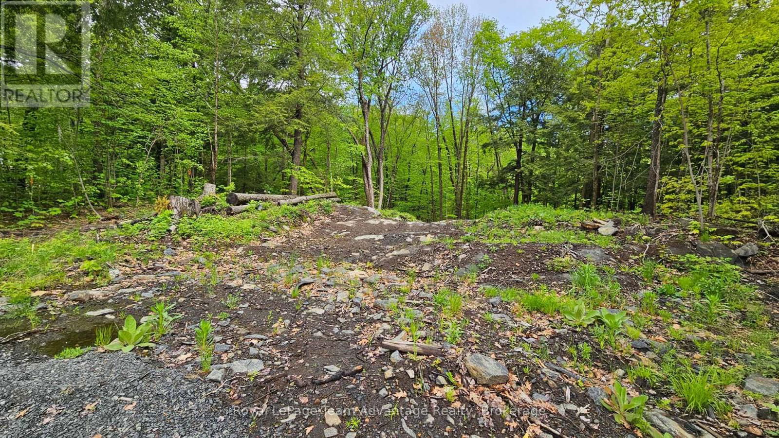 31 PINEWOOD ROAD Image 13