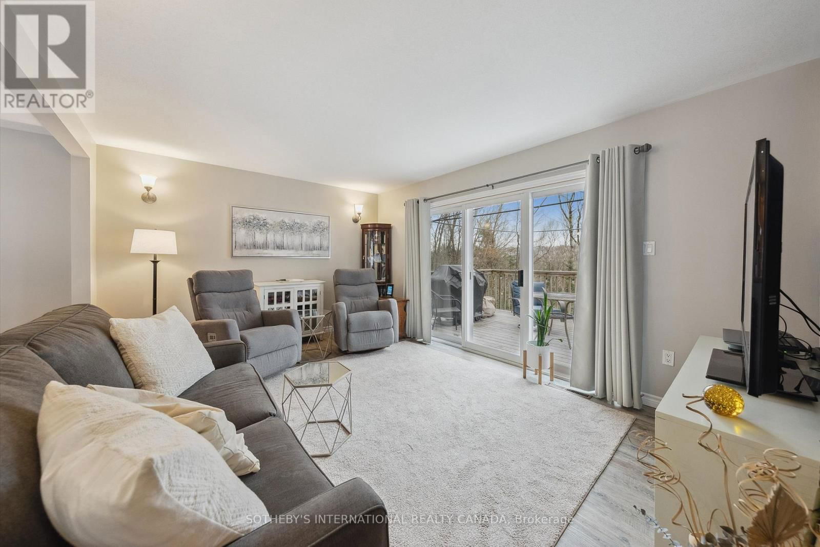 202 SUNNYSIDE STREET Image 19
