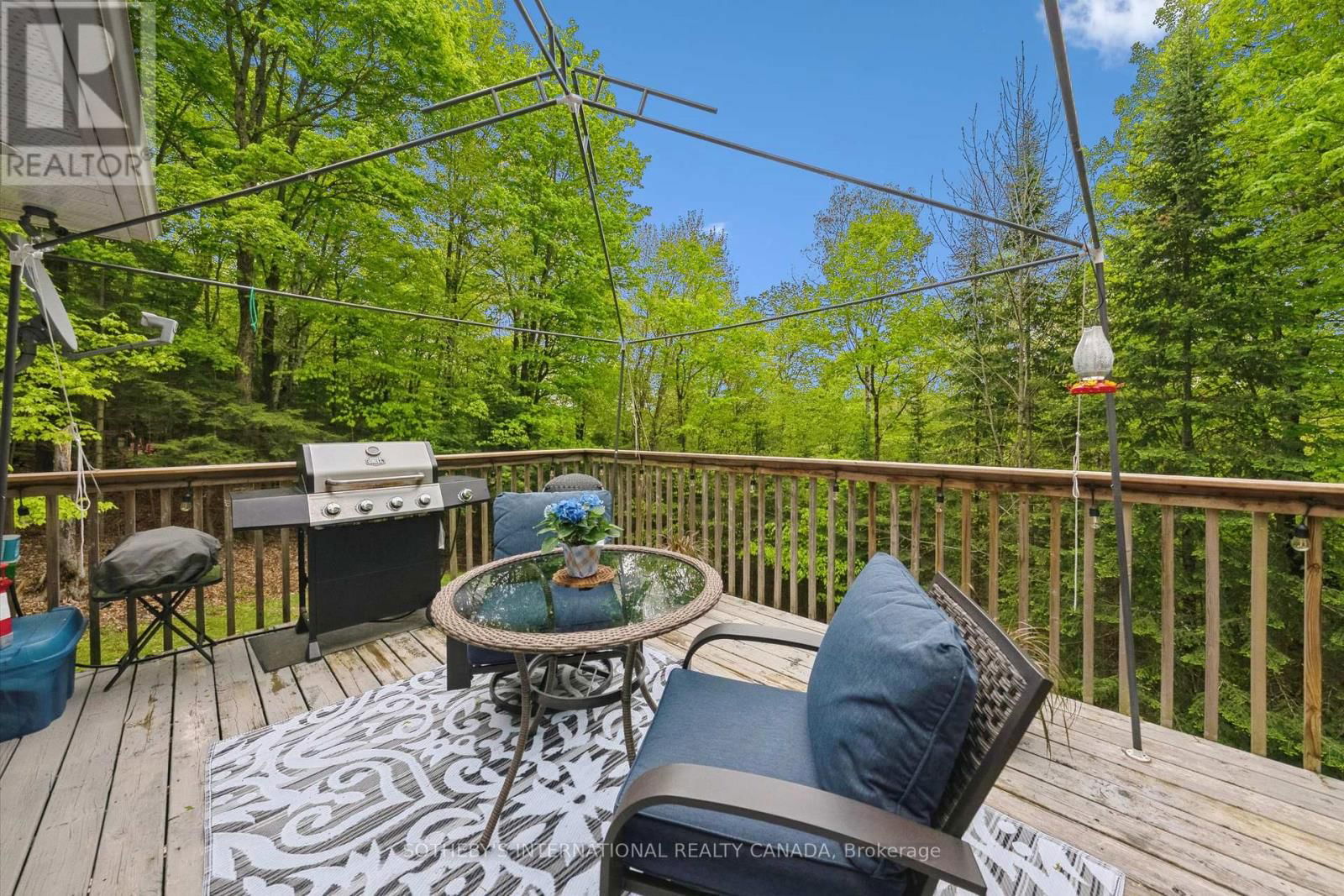 202 SUNNYSIDE STREET Image 41