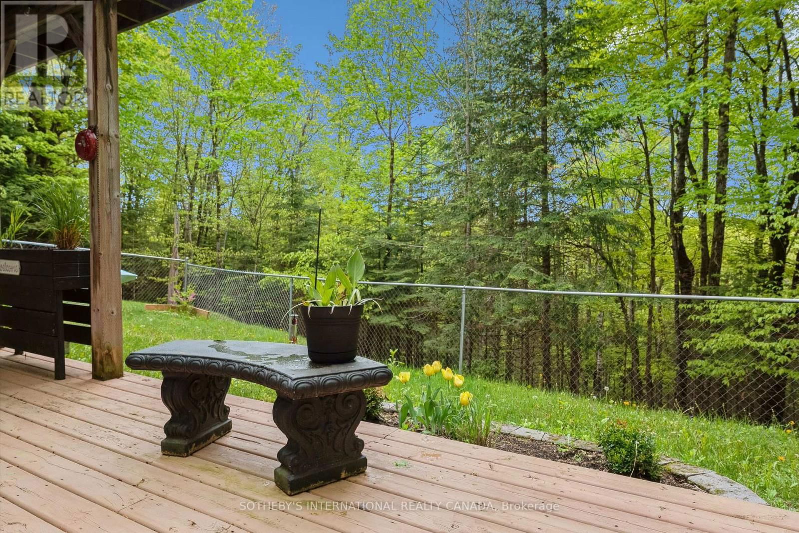 202 SUNNYSIDE STREET Image 46