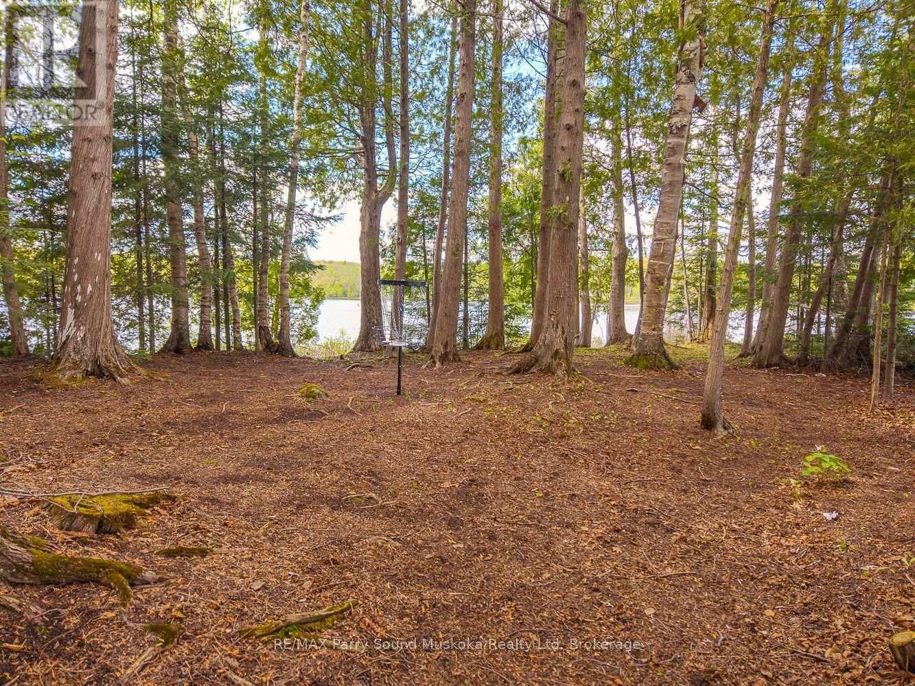 24 PINE GROVE Image 14