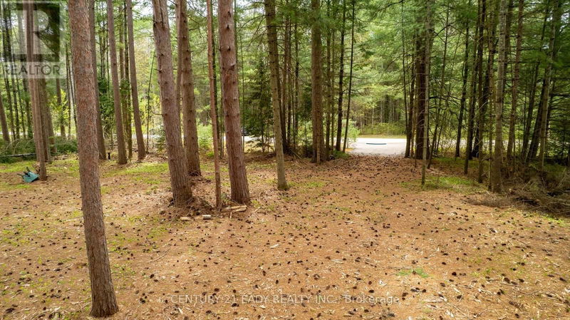 Tertiary Property View
