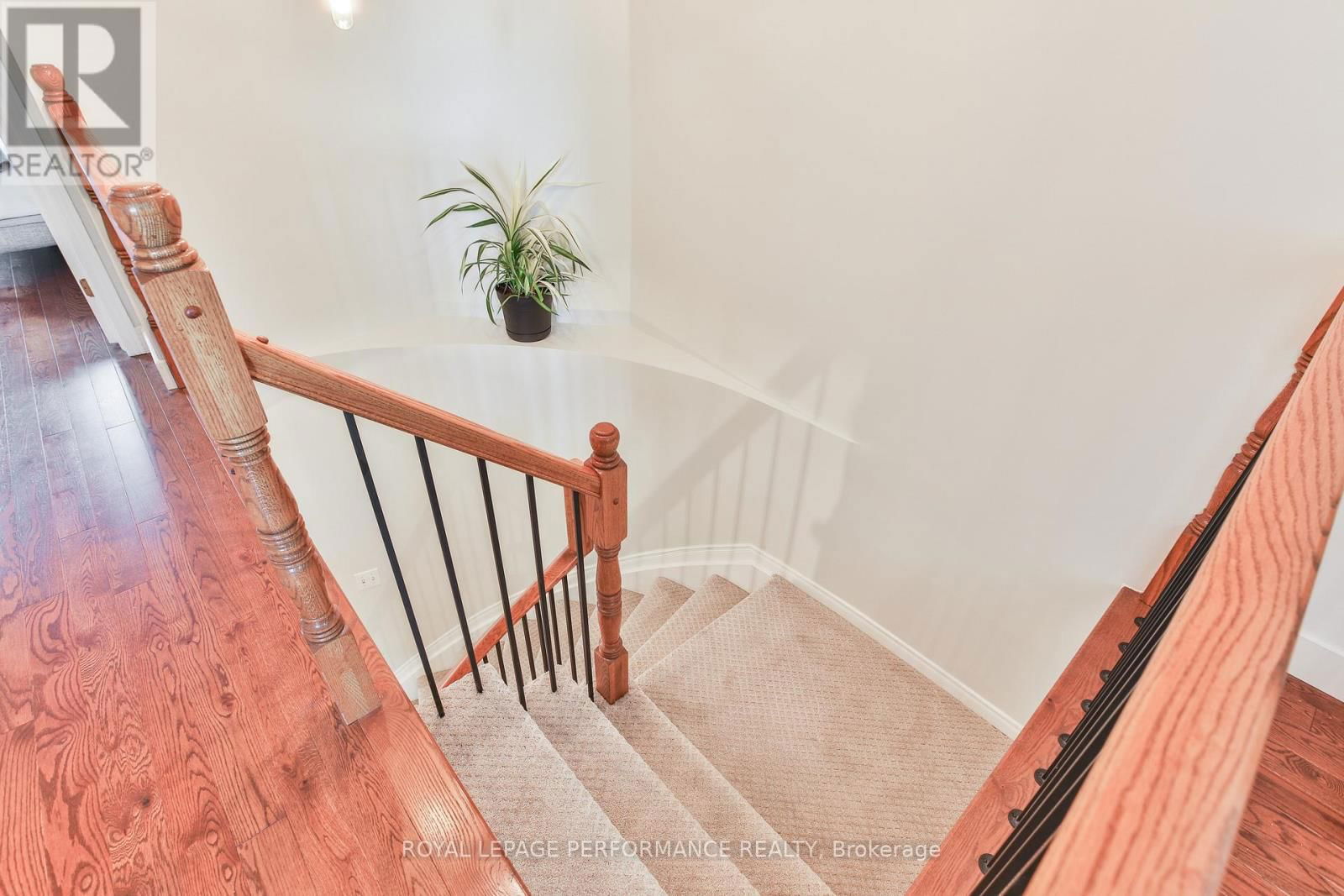 13 COLLEGE CIRCLE Image 15