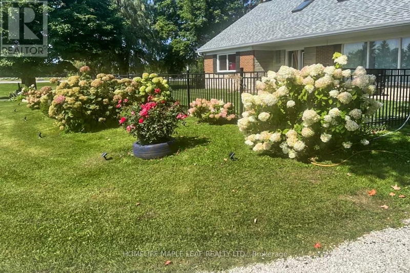 Tertiary Property View