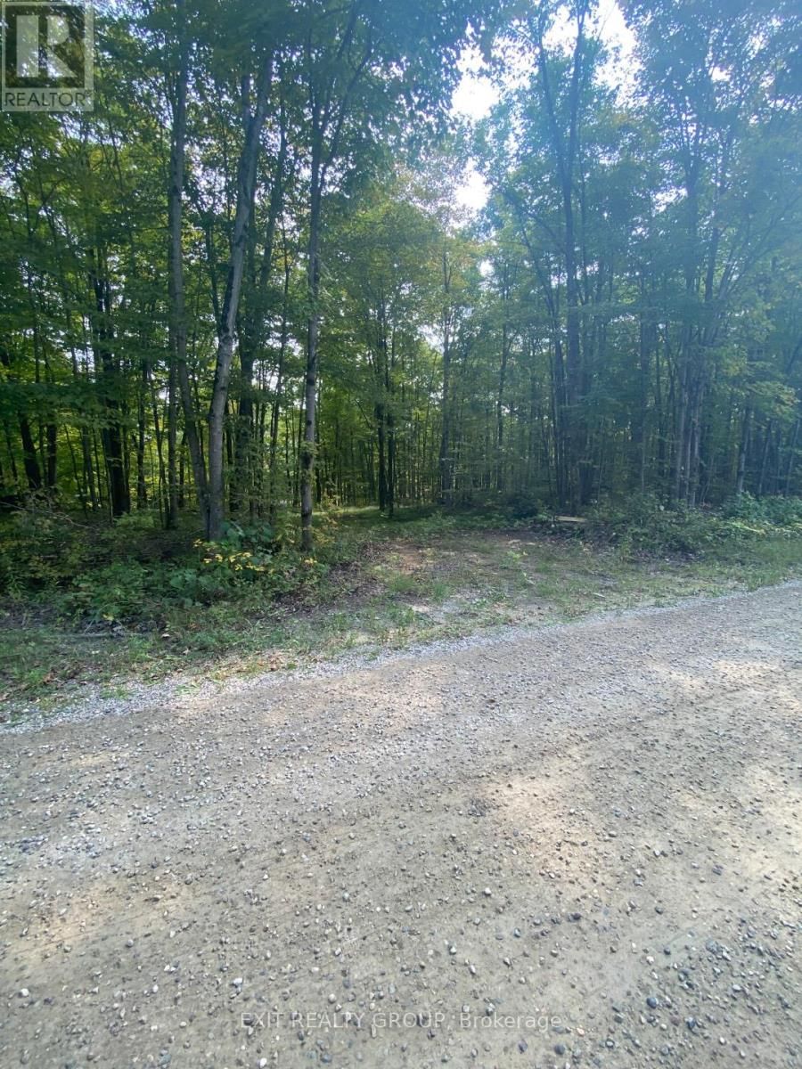 0 ELM TREE ROAD Image 11