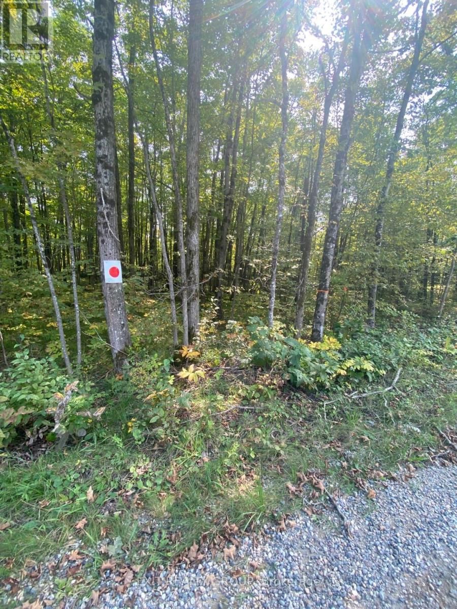 0 ELM TREE ROAD Image 12