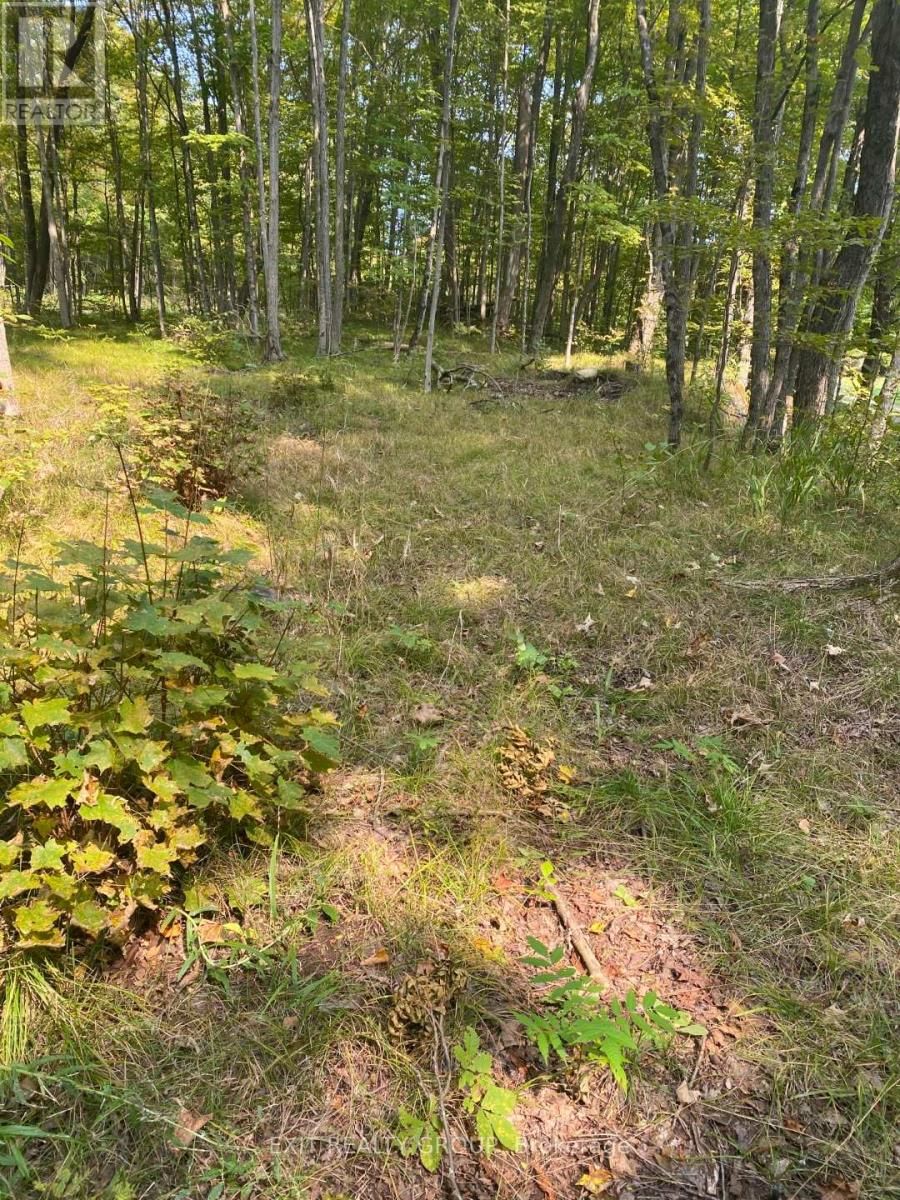 0 ELM TREE ROAD Image 13