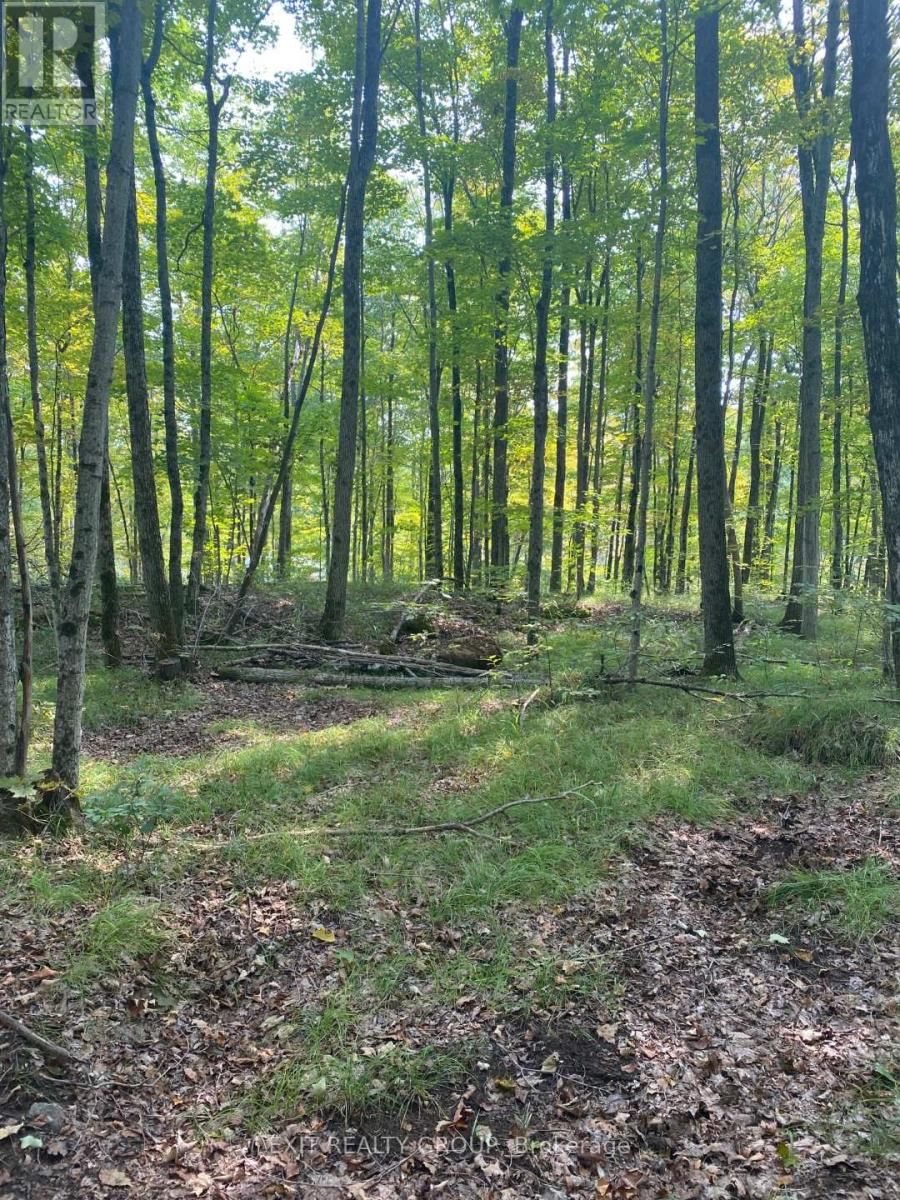 0 ELM TREE ROAD Image 15