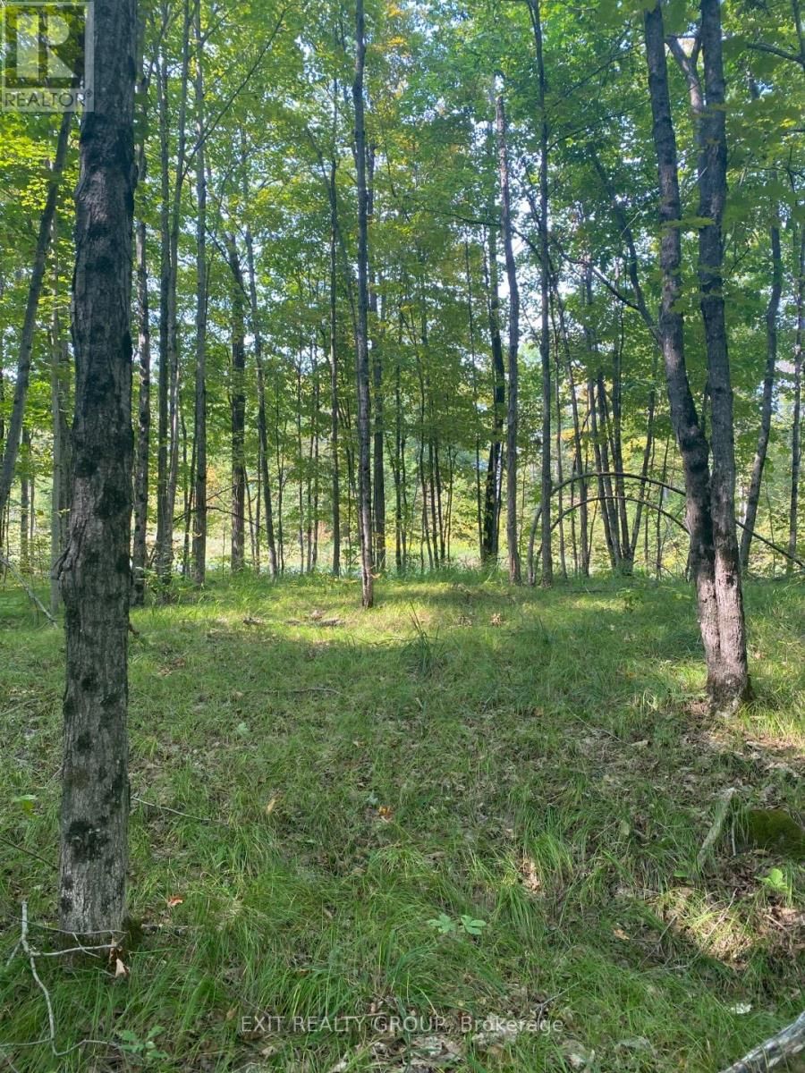 0 ELM TREE ROAD Image 17