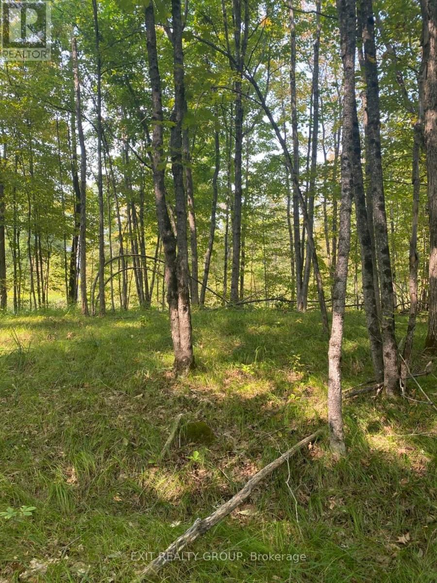 0 ELM TREE ROAD Image 18