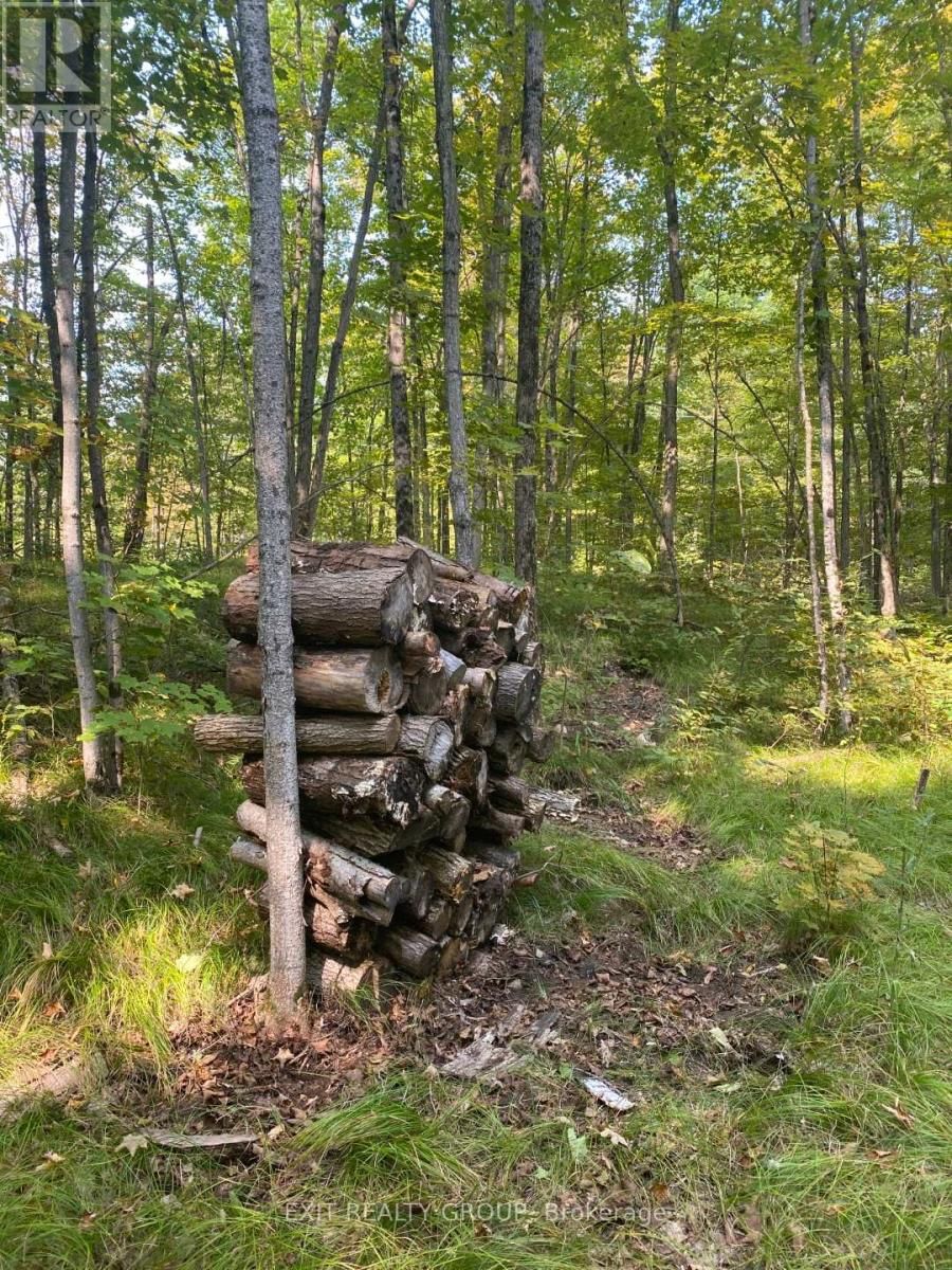 0 ELM TREE ROAD Image 8