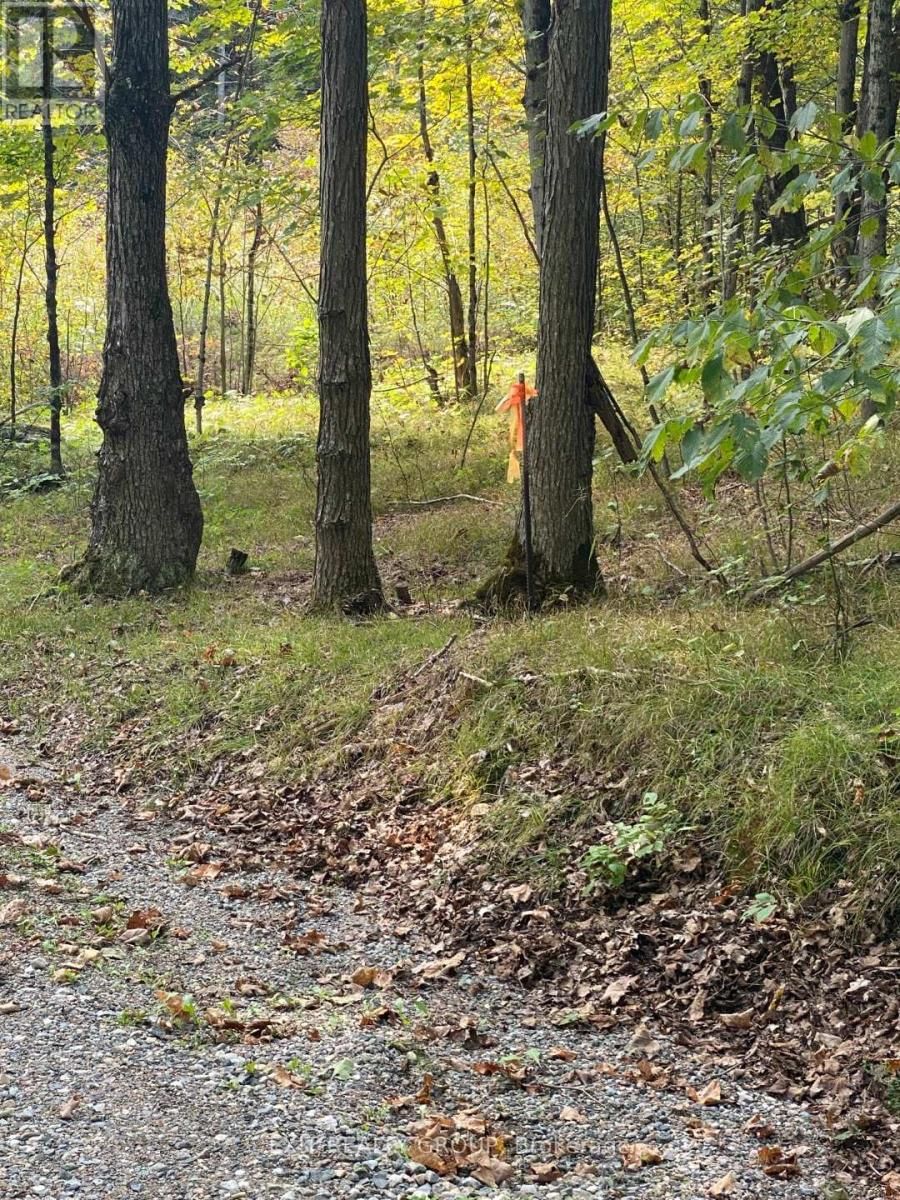 0 ELM TREE ROAD Image 9