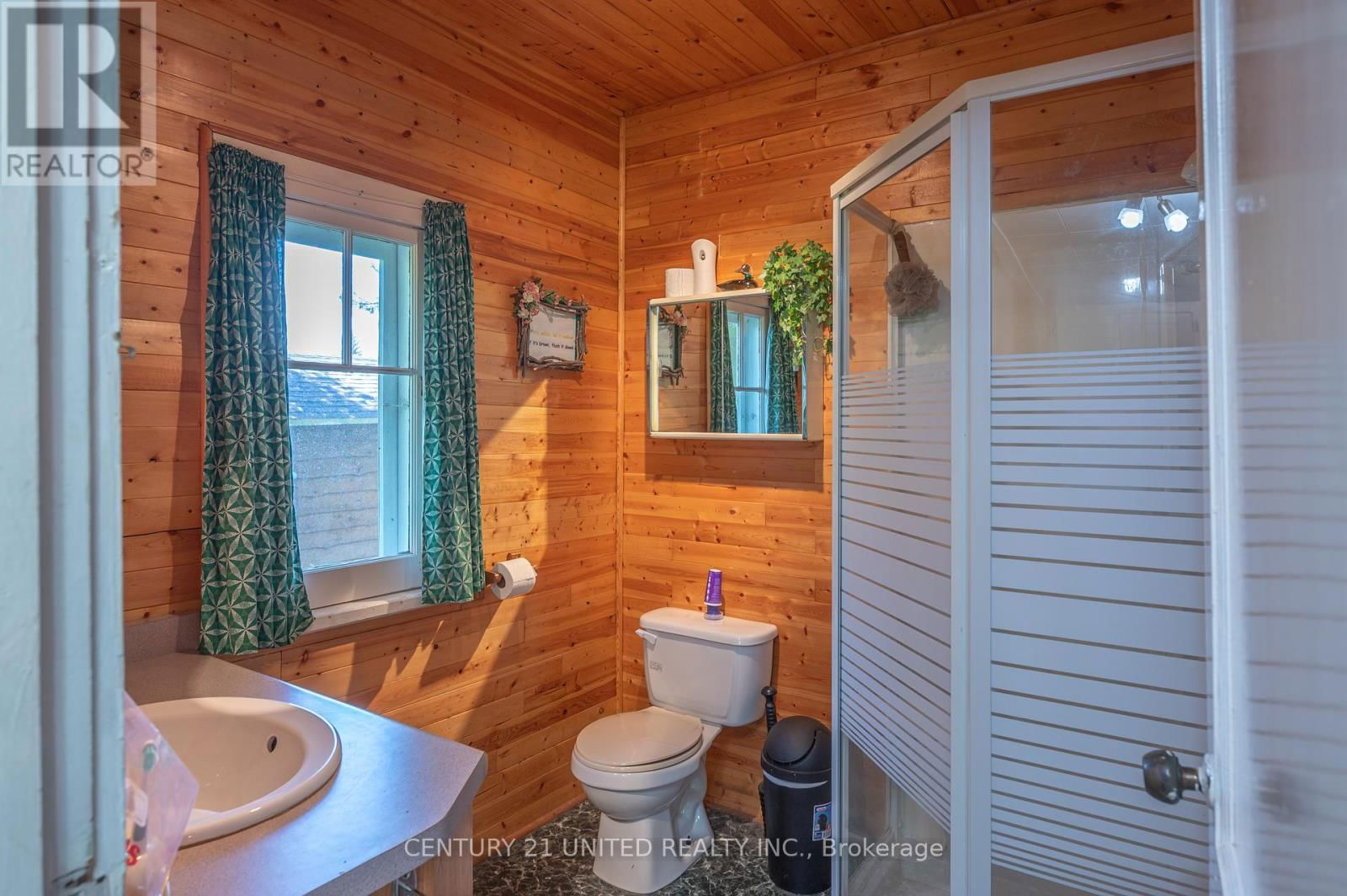 2418 UPPER CHEMUNG DRIVE Image 13