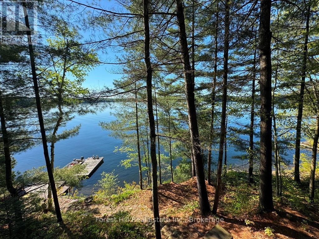 Primary Property View