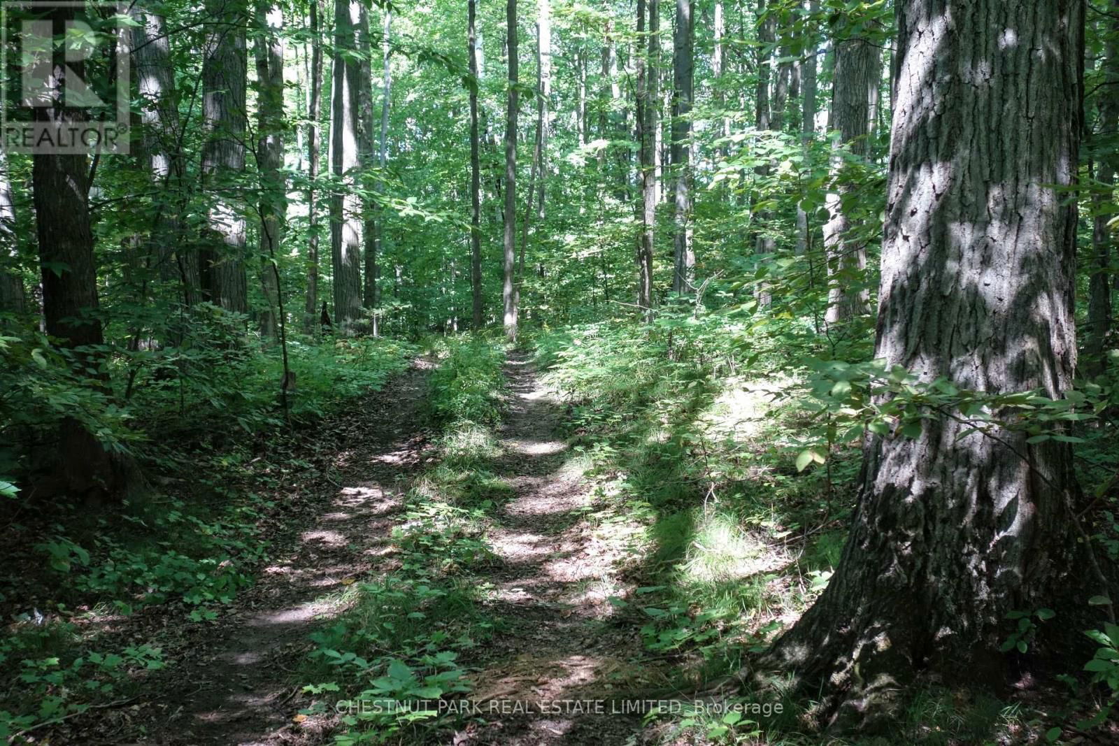 000 CROSSEN ROAD Image 20
