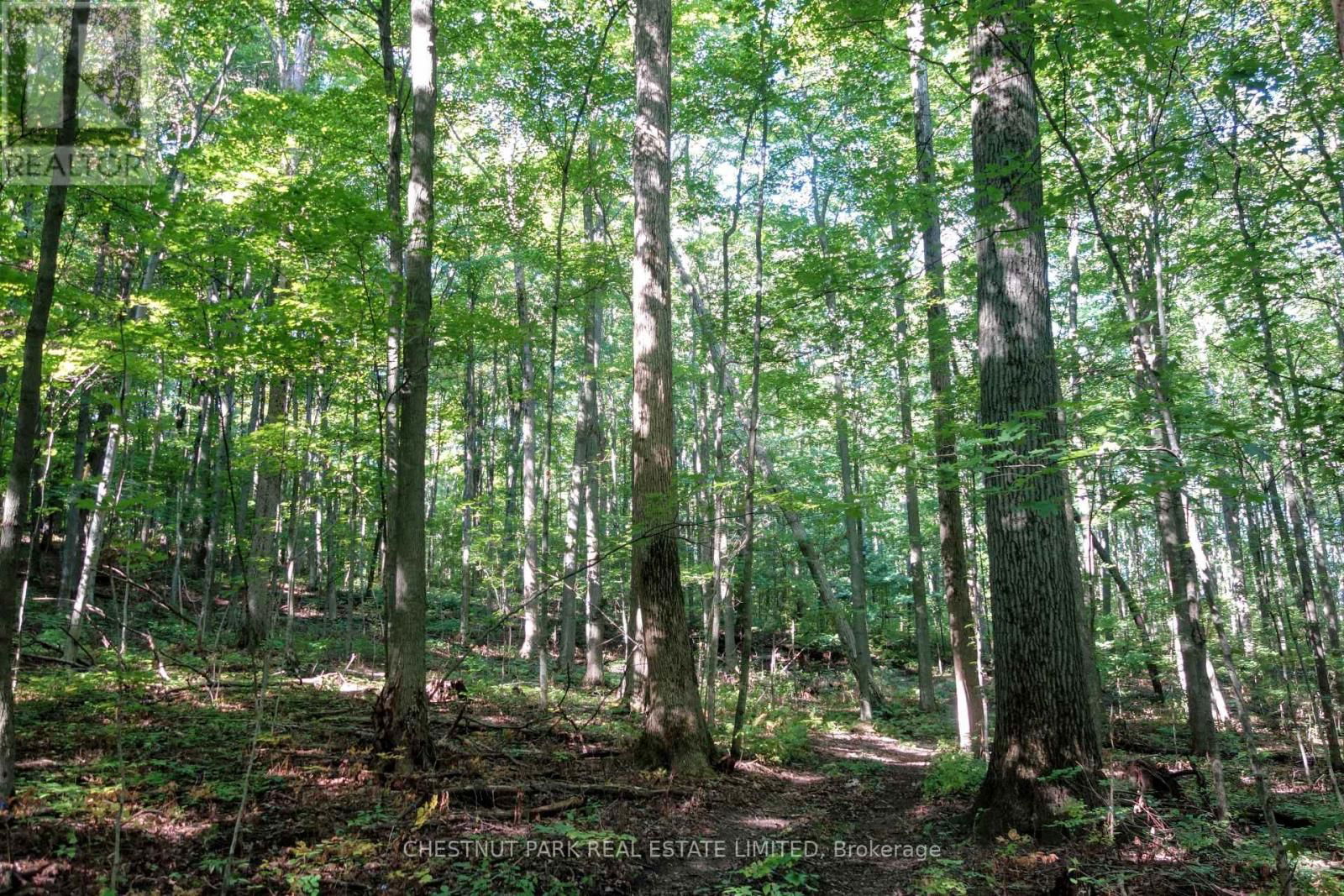 000 CROSSEN ROAD Image 22