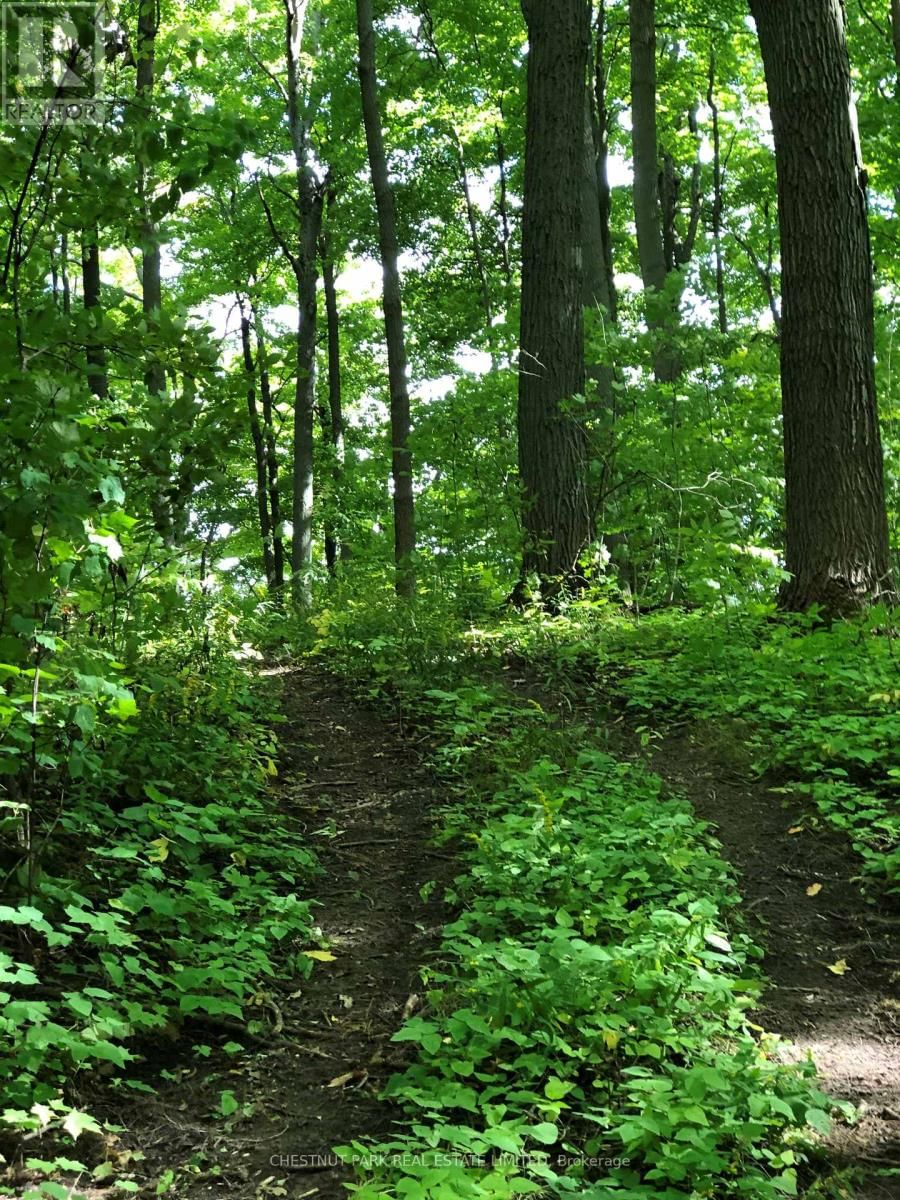 000 CROSSEN ROAD Image 23