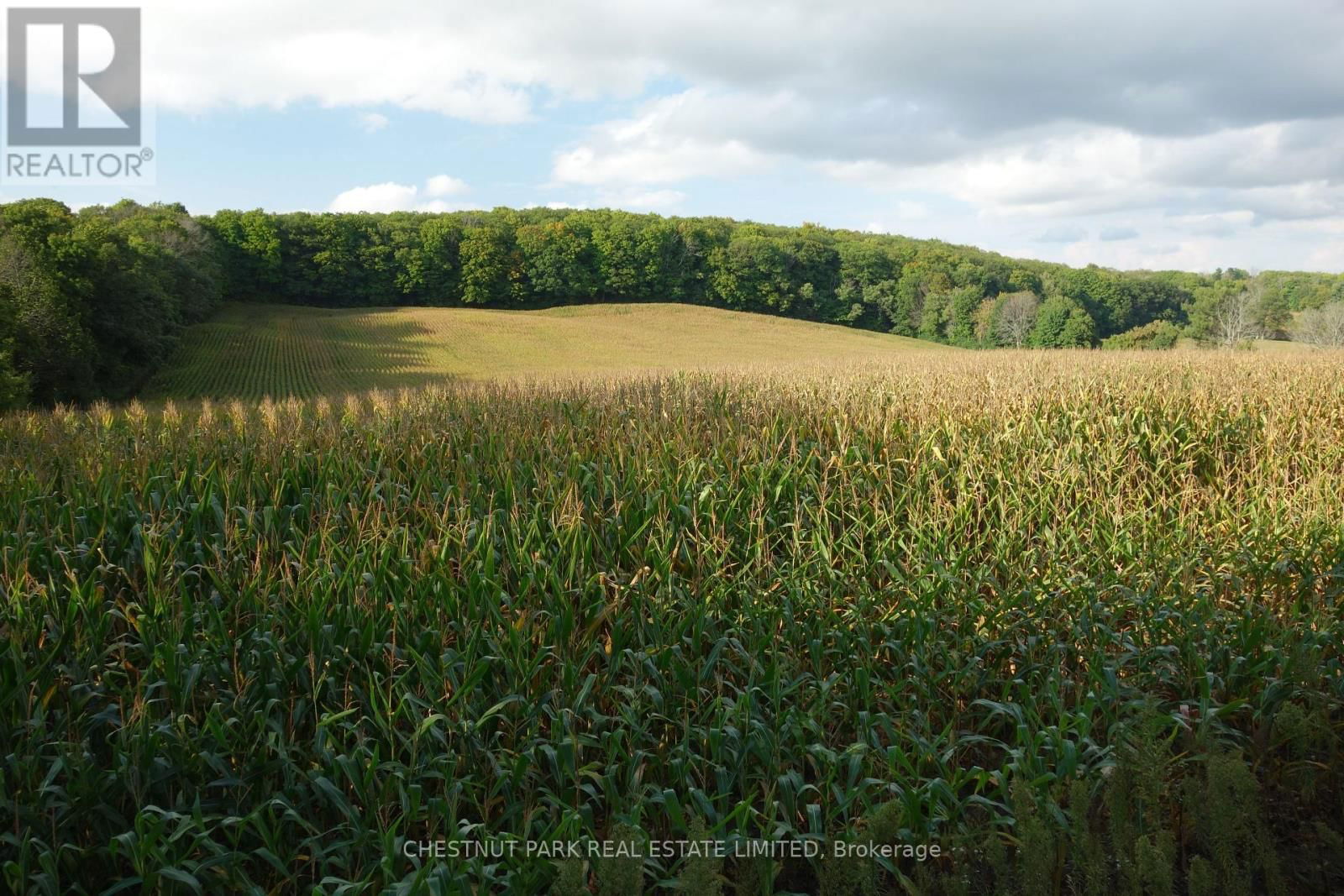 000 CROSSEN ROAD Image 24