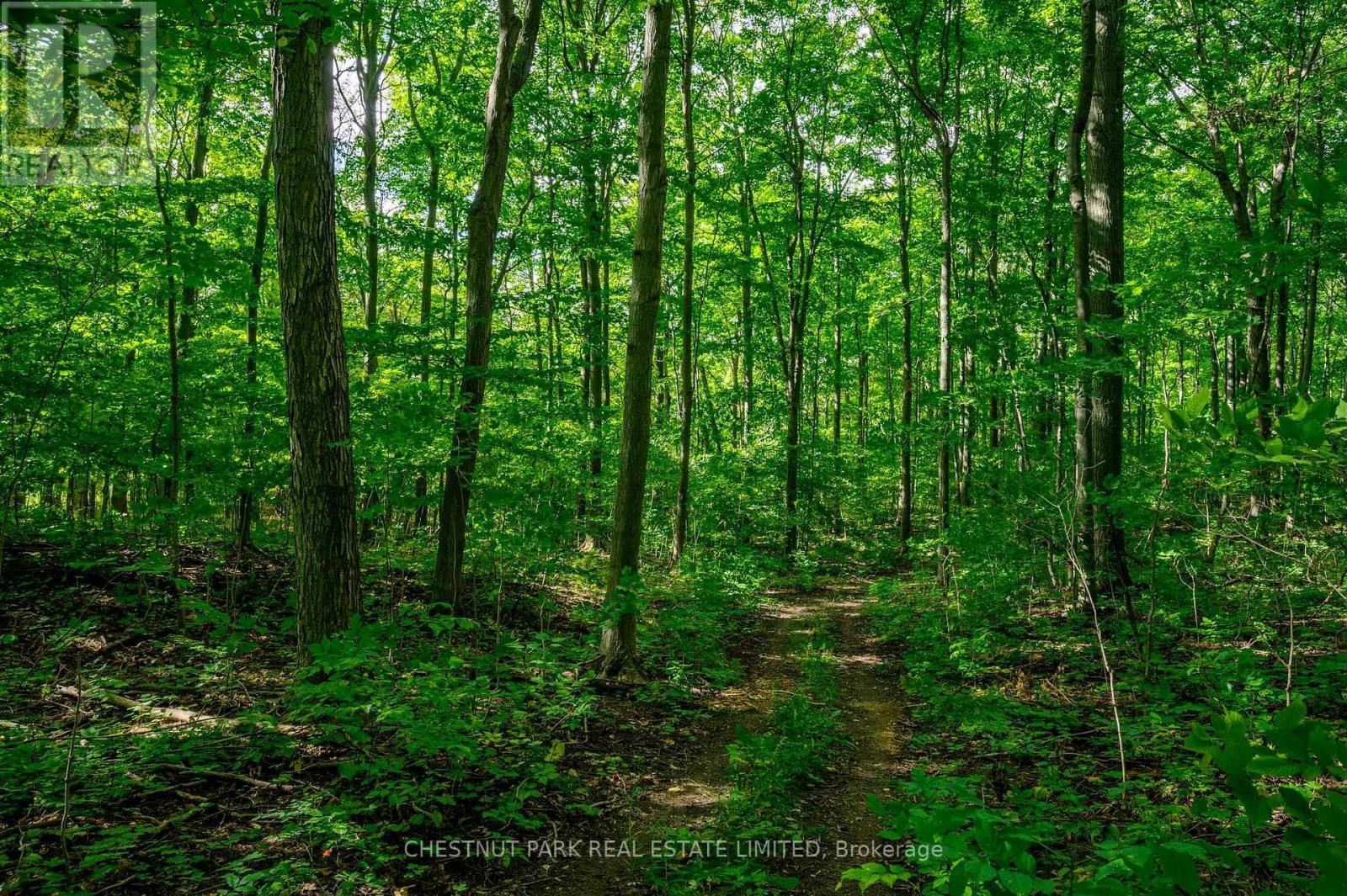 000 CROSSEN ROAD Image 28