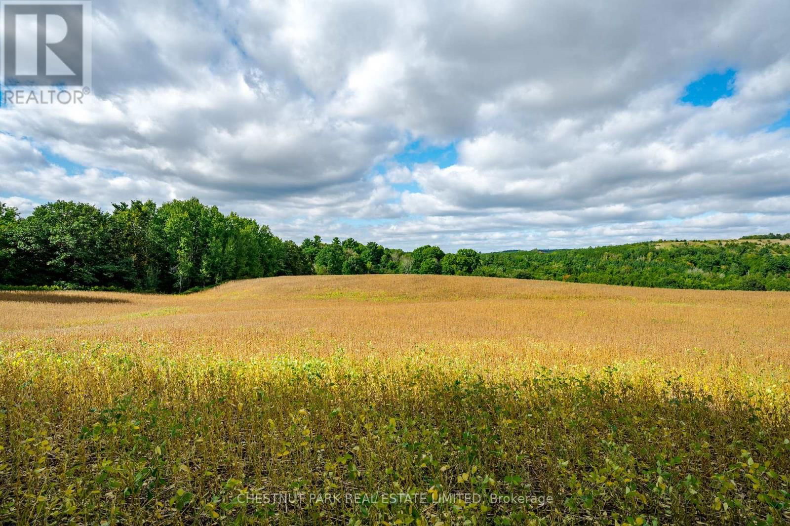 000 CROSSEN ROAD Image 34