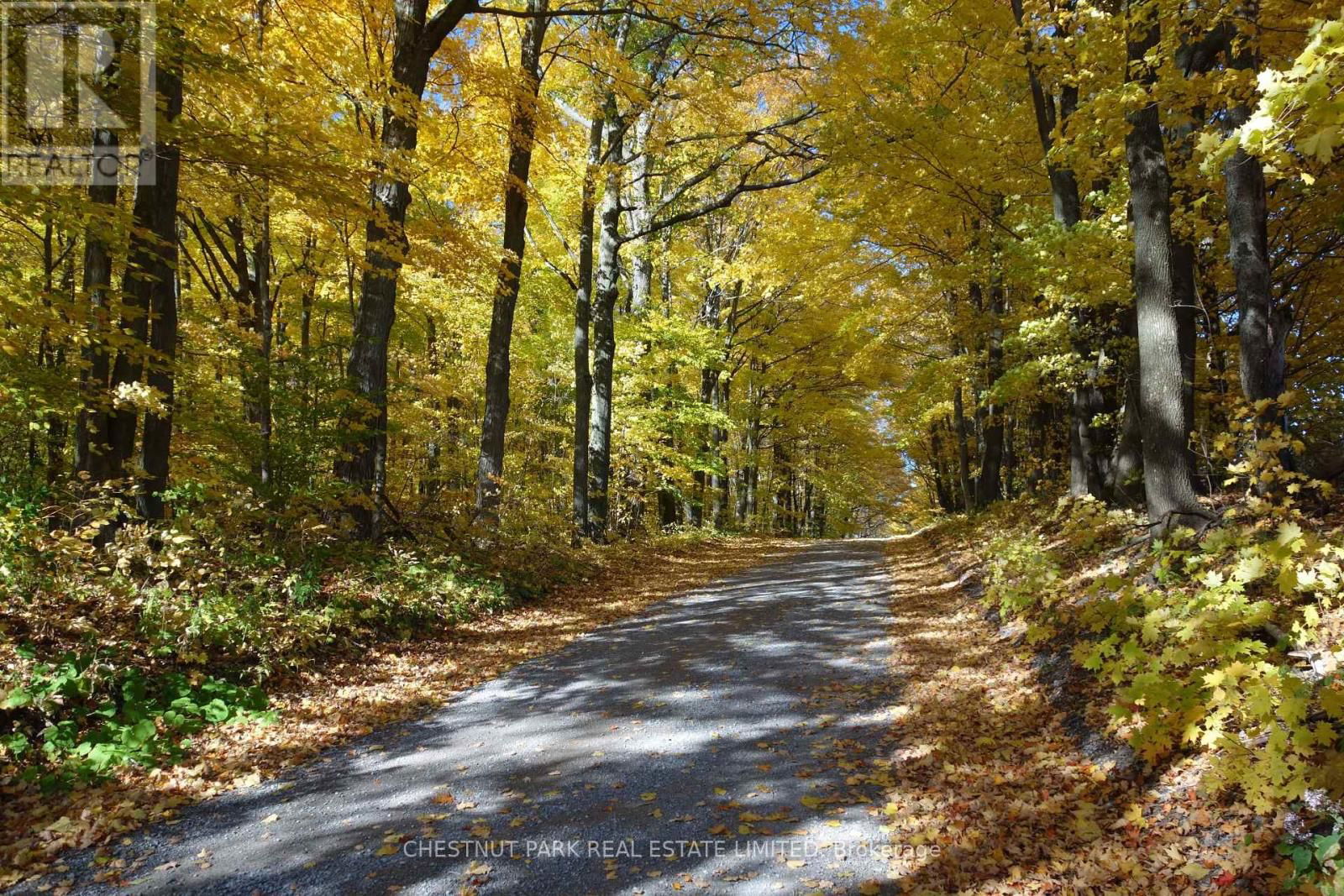 000 CROSSEN ROAD Image 35
