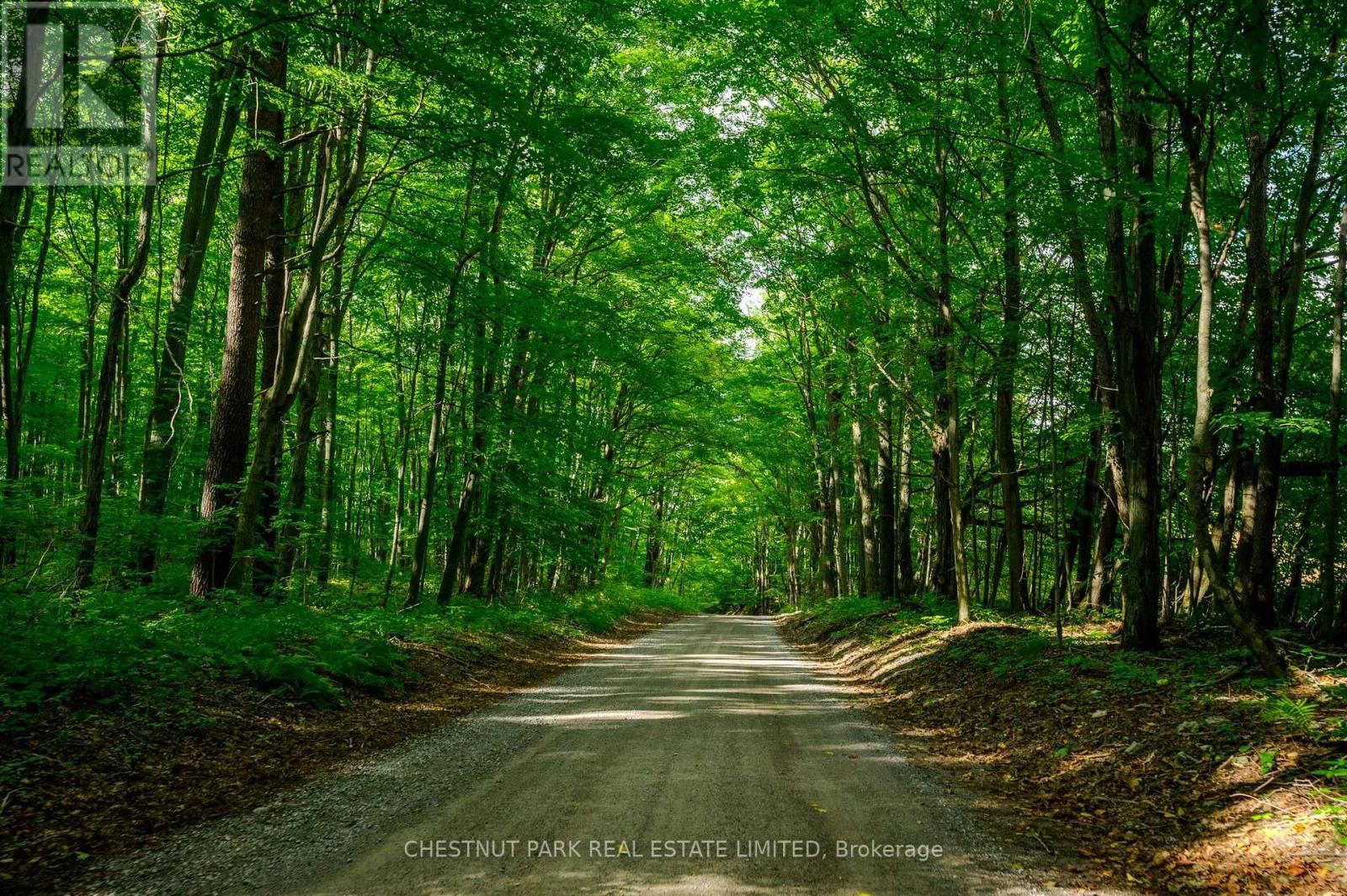 000 CROSSEN ROAD Image 36