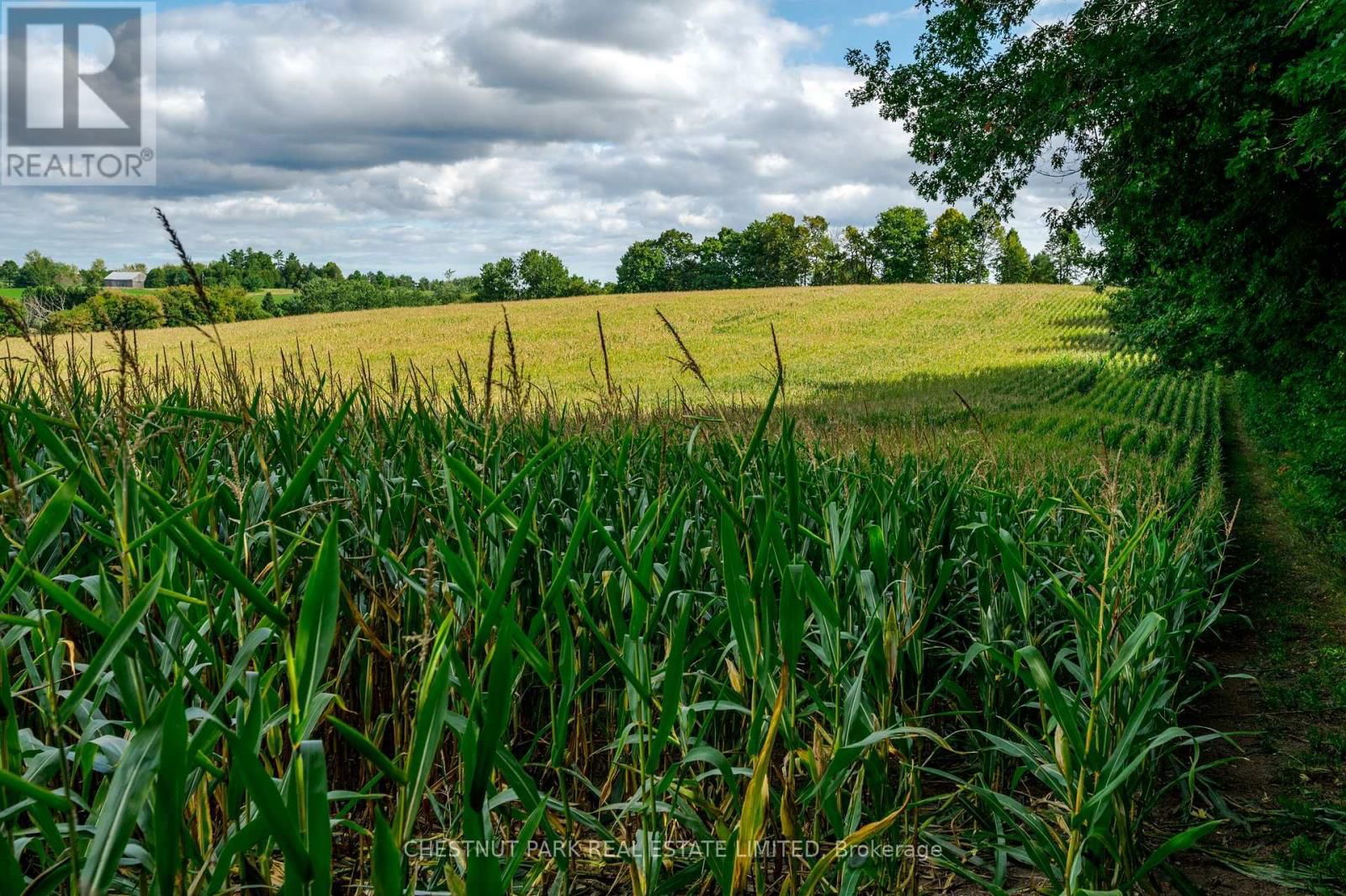 000 CROSSEN ROAD Image 37