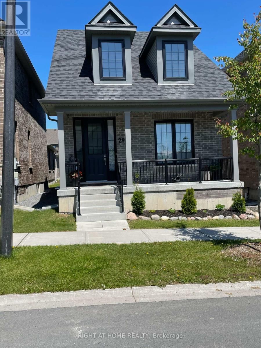 Primary Property View