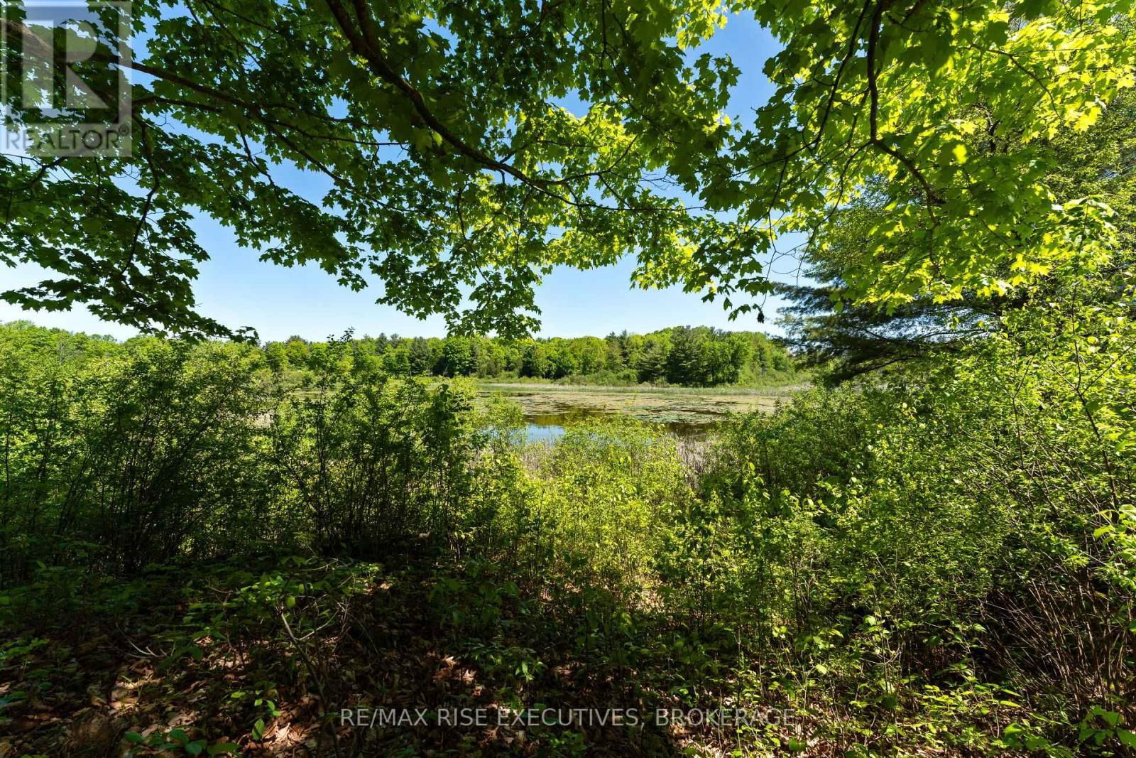 Pt 2 SPRING MILL LANE Image 10