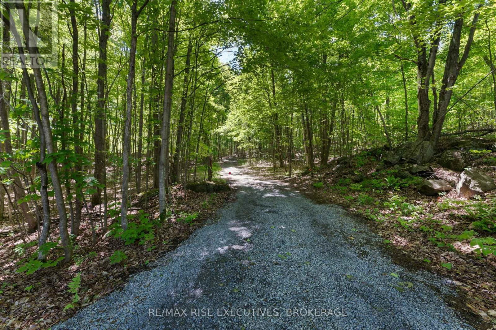 Pt 2 SPRING MILL LANE Image 14