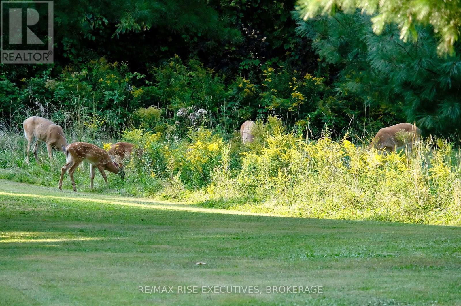 Pt 2 SPRING MILL LANE Image 41