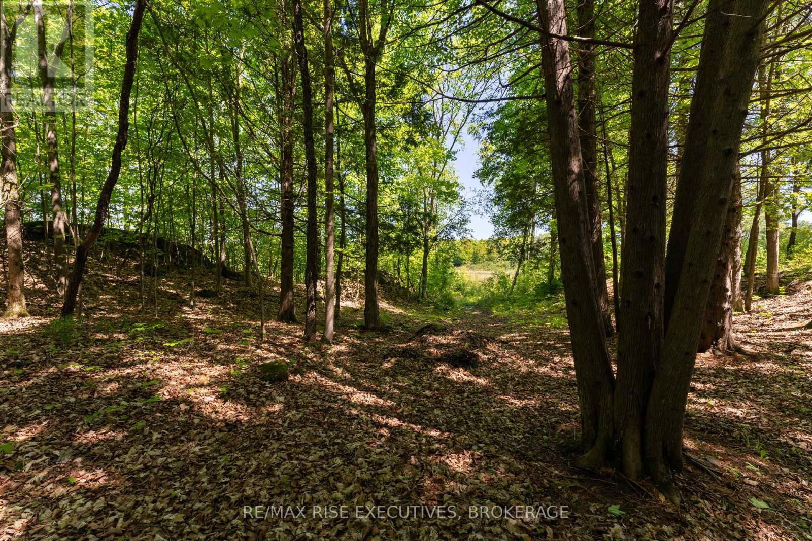 Pt 2 SPRING MILL LANE Image 9