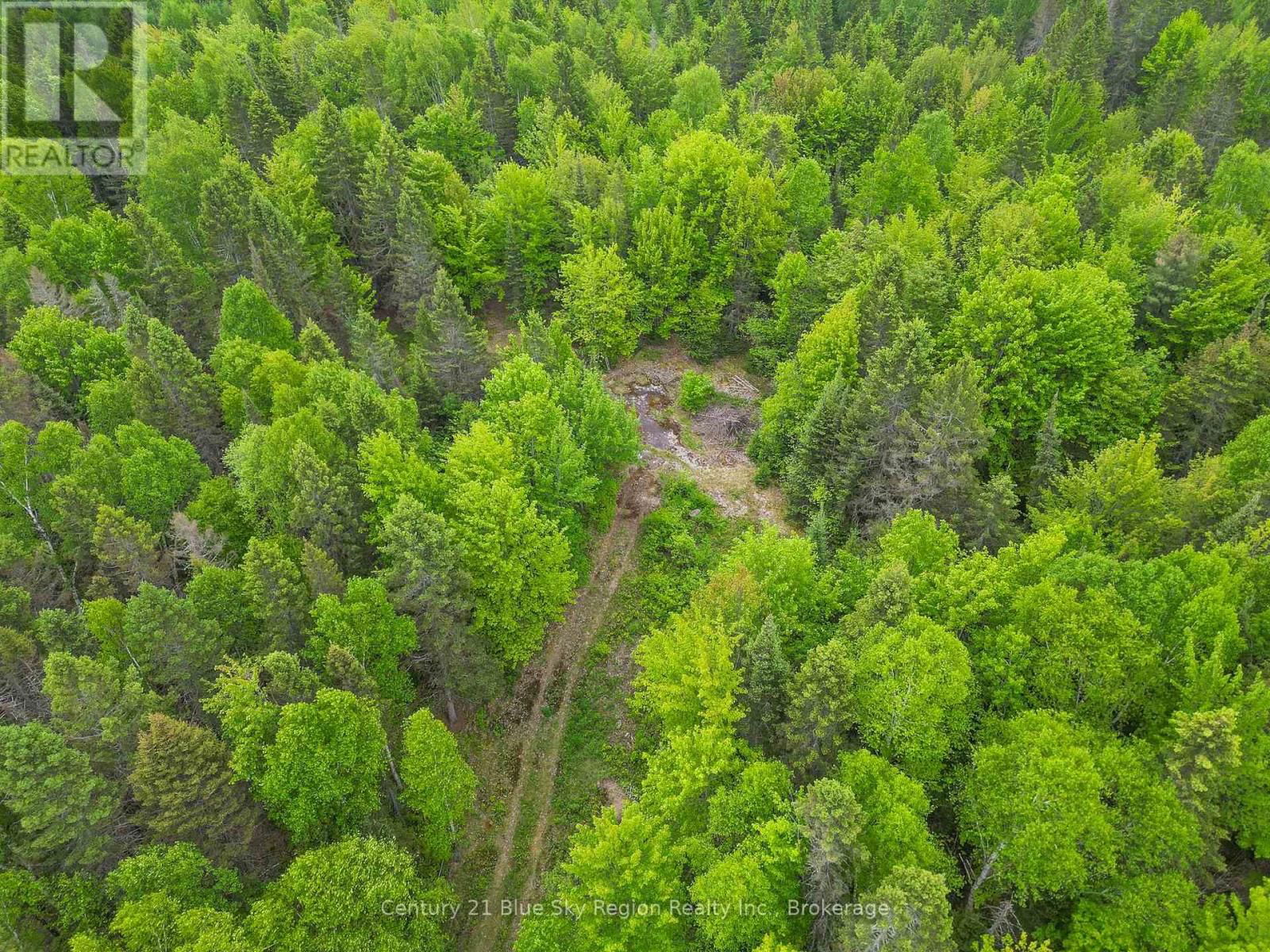 471 WEILER LINE Image 10