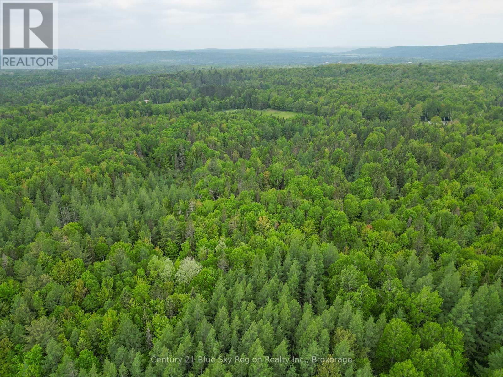 471 WEILER LINE Image 16