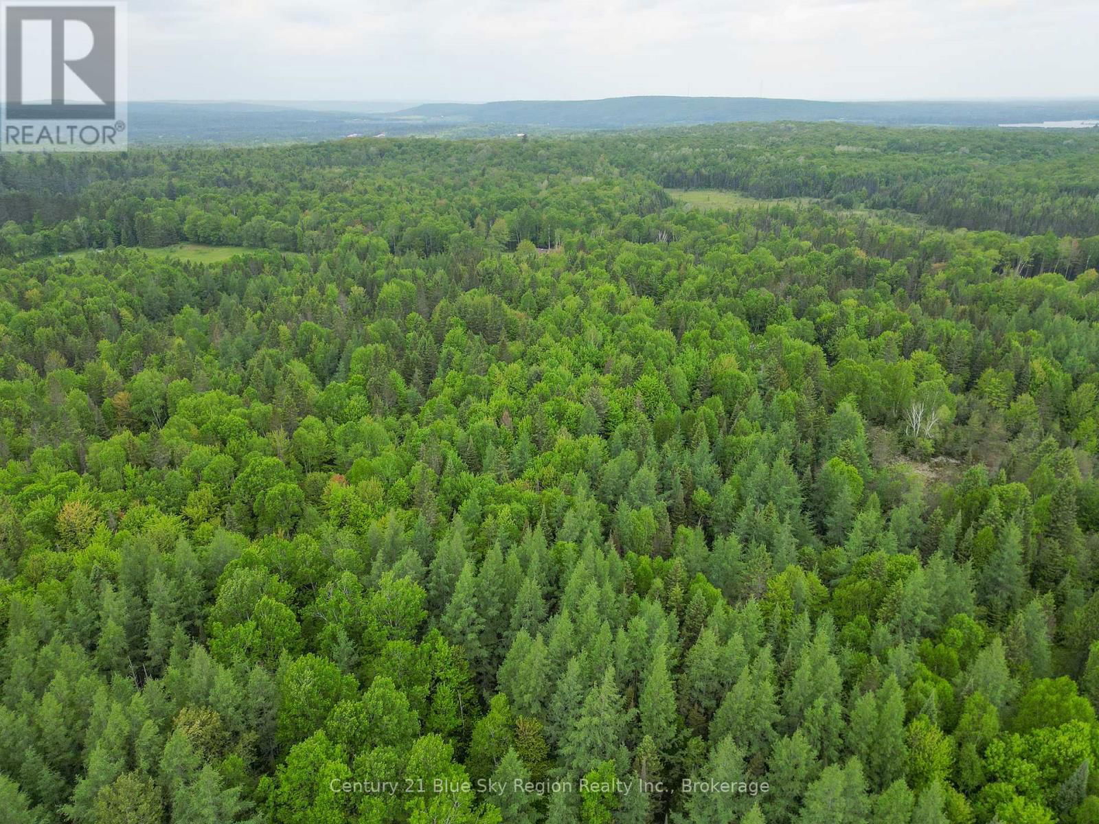 471 WEILER LINE Image 17