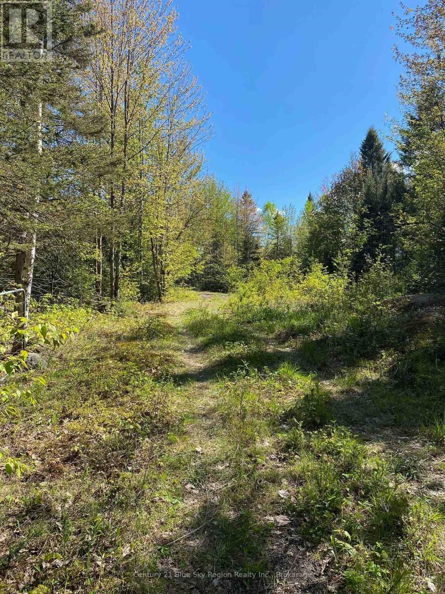 471 WEILER LINE Image 2