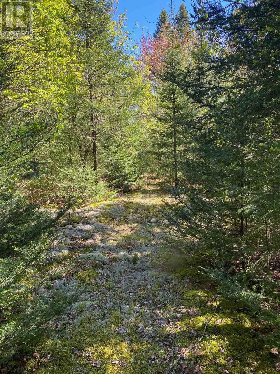 471 WEILER LINE Image 4