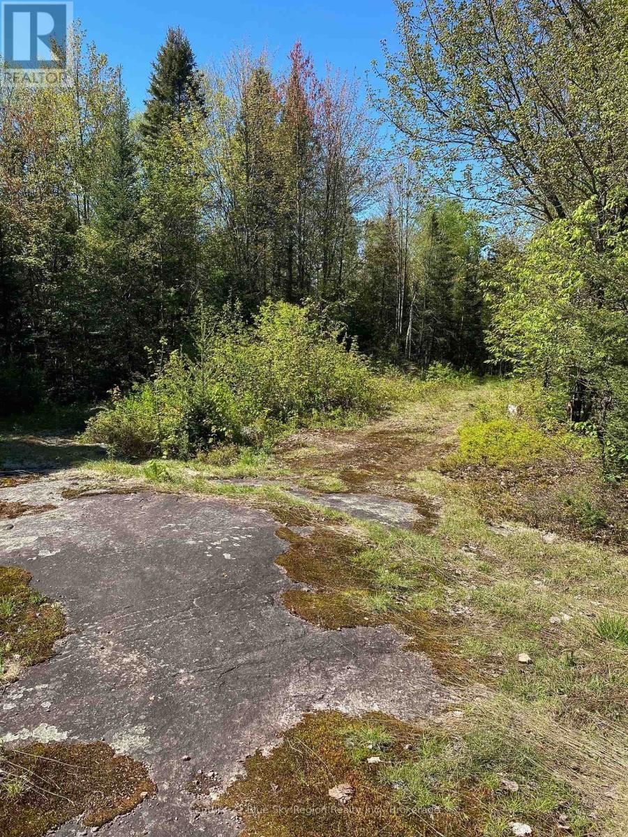 471 WEILER LINE Image 5
