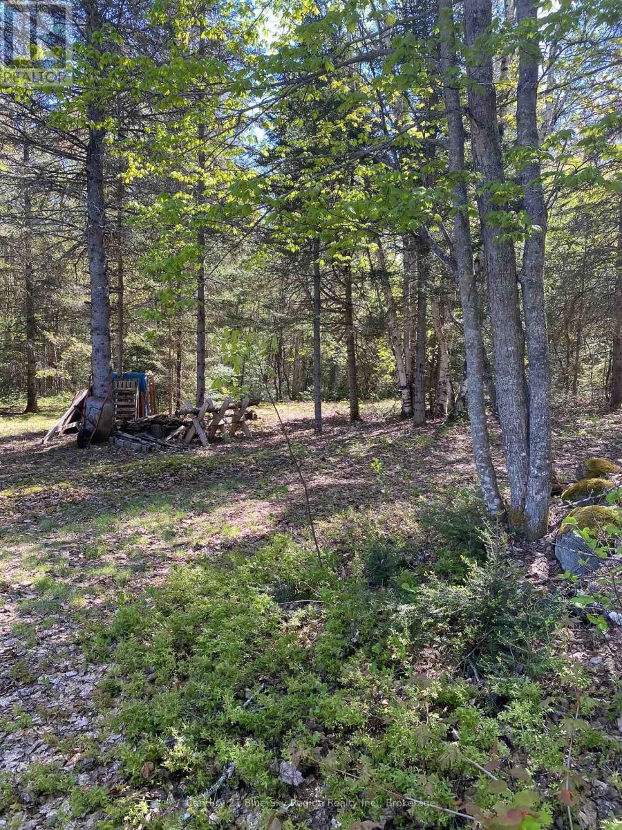 471 WEILER LINE Image 7