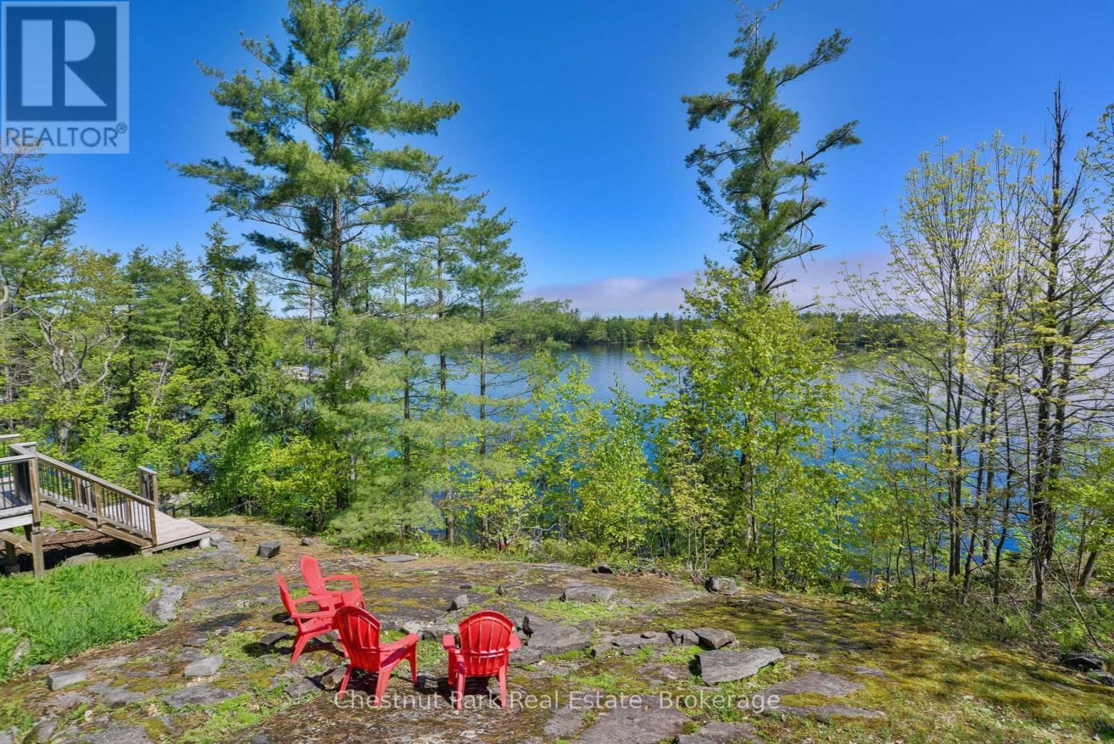 Primary Property View