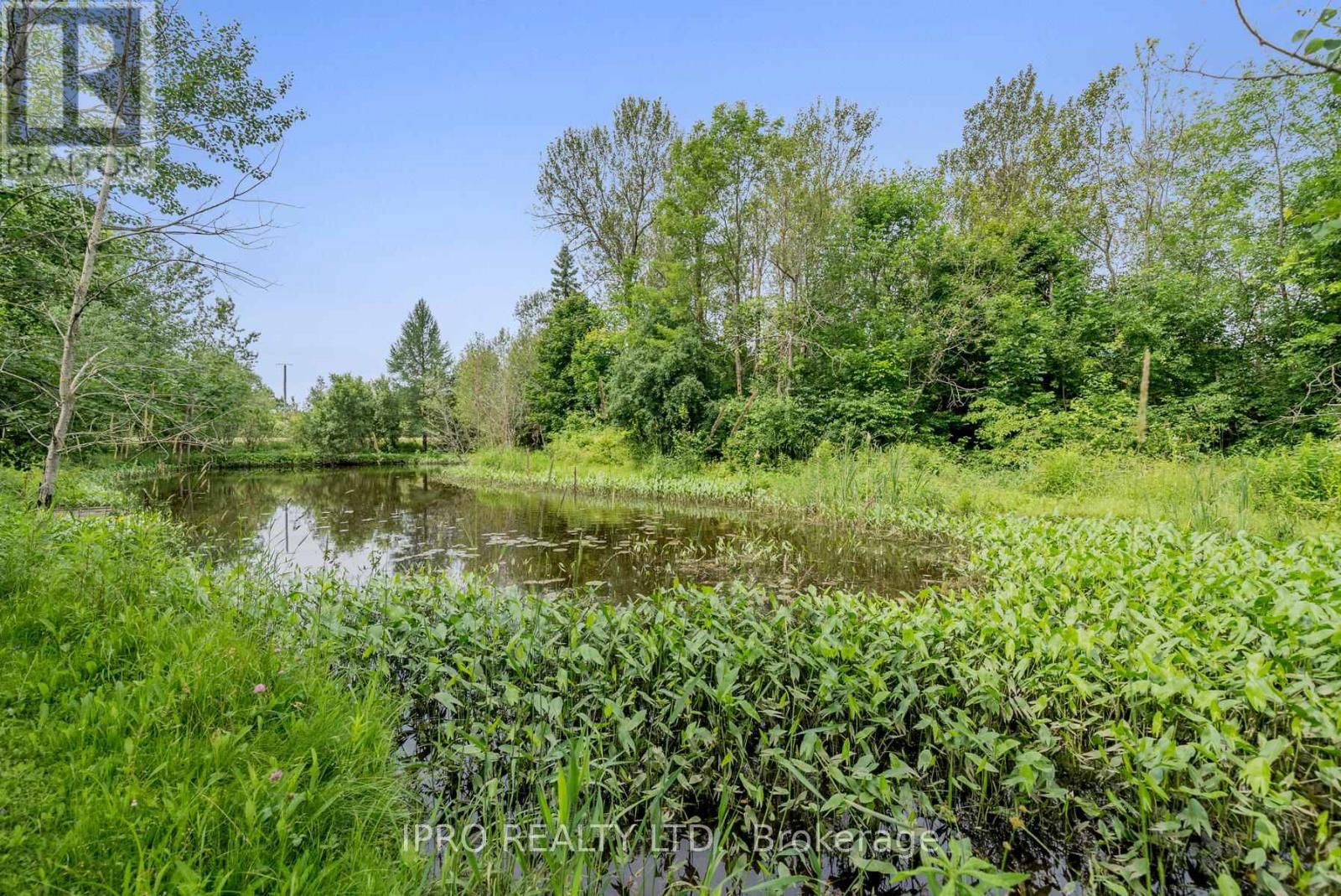 9206 SIDEROAD 17 ROAD Image 31