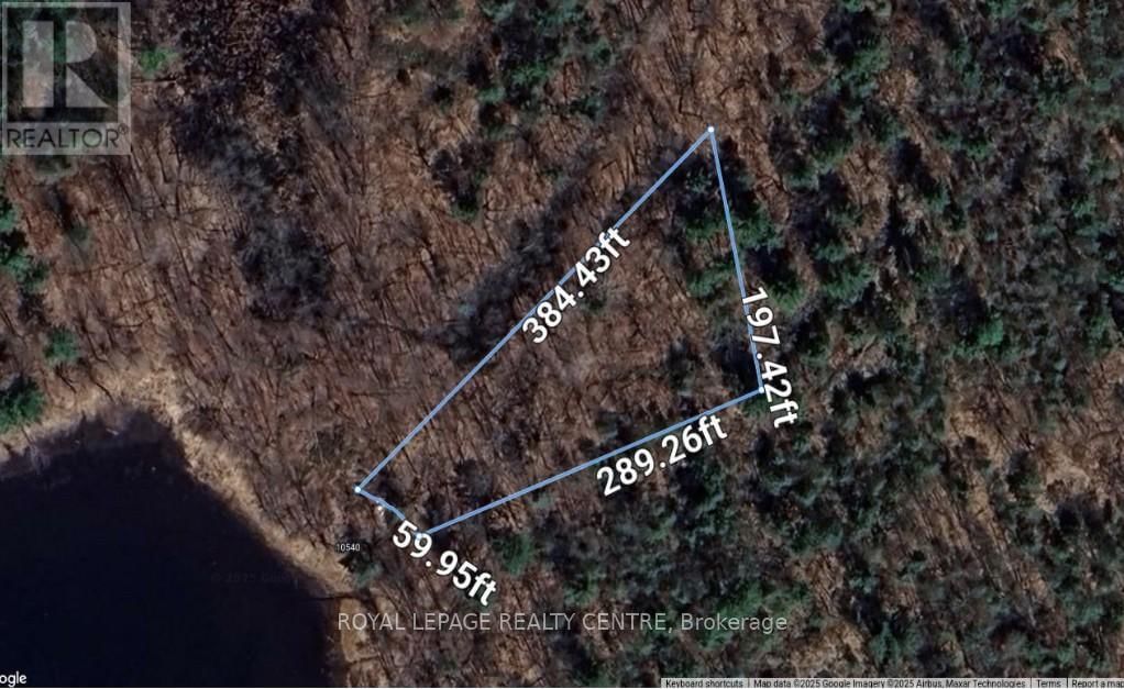 10540 GEORGIAN BAY SHORE Image 2