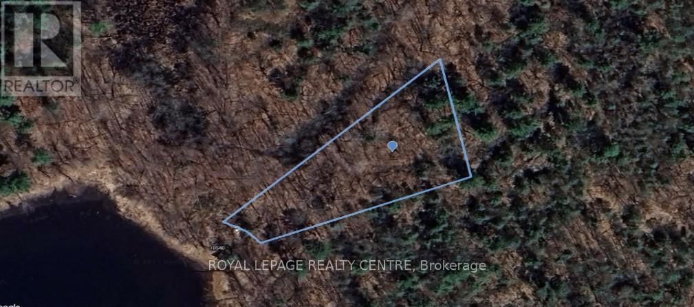 10540 GEORGIAN BAY SHORE Image 3
