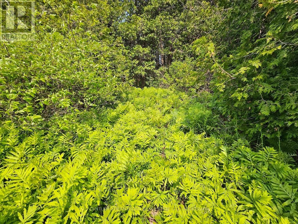 0000 CEDARSTONE ROAD Image 16