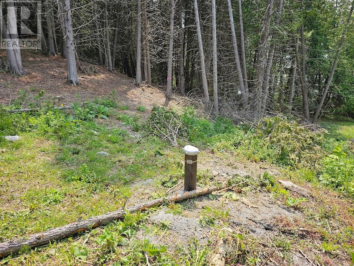 0000 CEDARSTONE ROAD Image 4