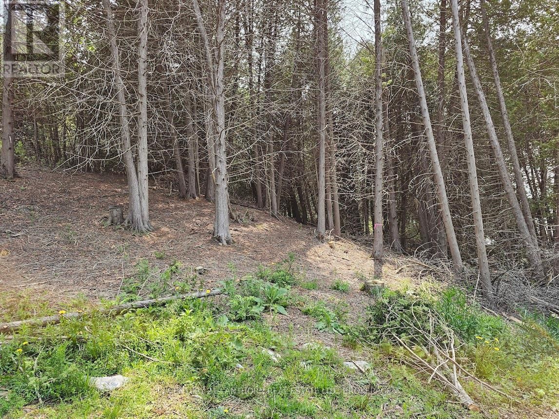 0000 CEDARSTONE ROAD Image 5