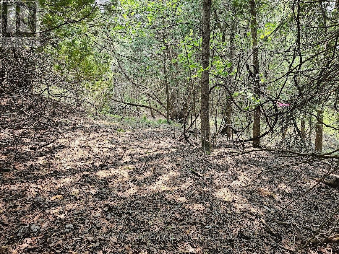 0000 CEDARSTONE ROAD Image 6