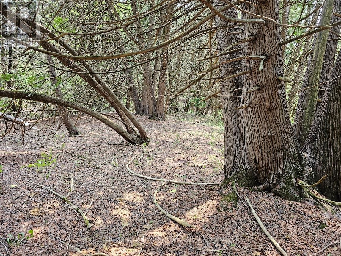 0000 CEDARSTONE ROAD Image 7