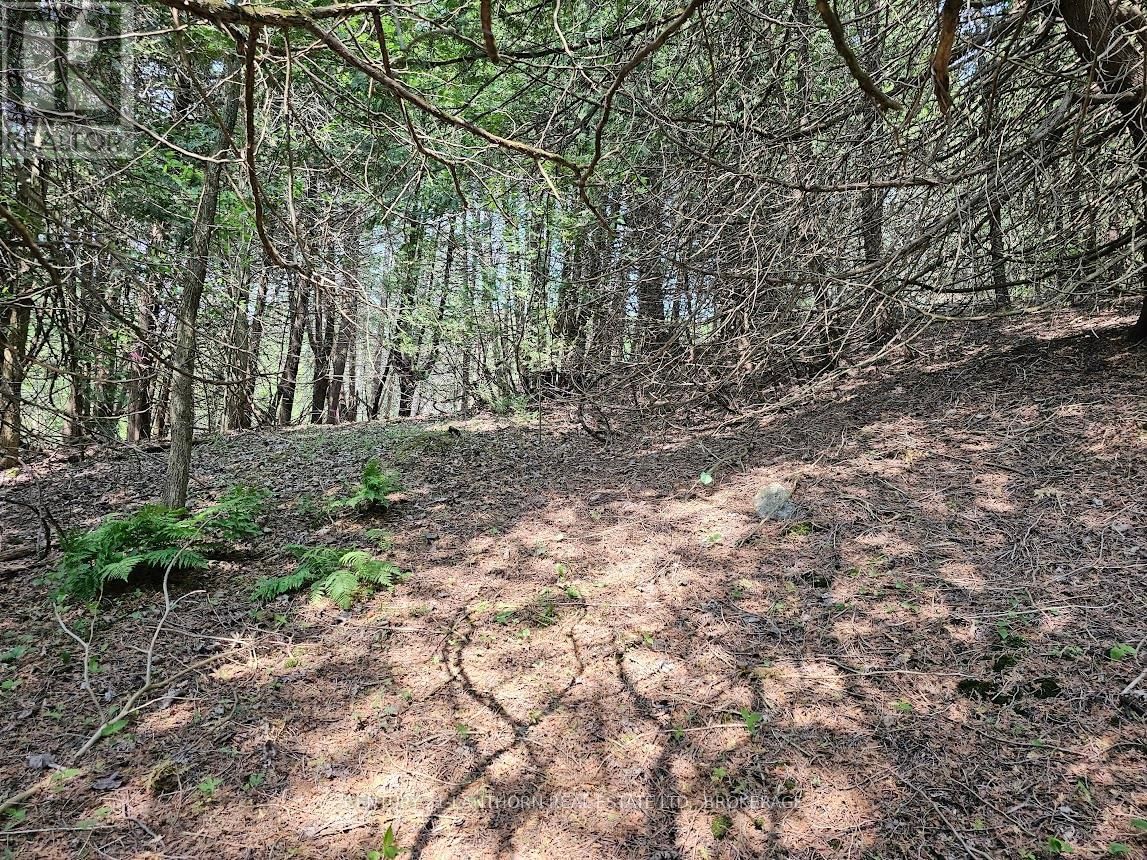 0000 CEDARSTONE ROAD Image 8